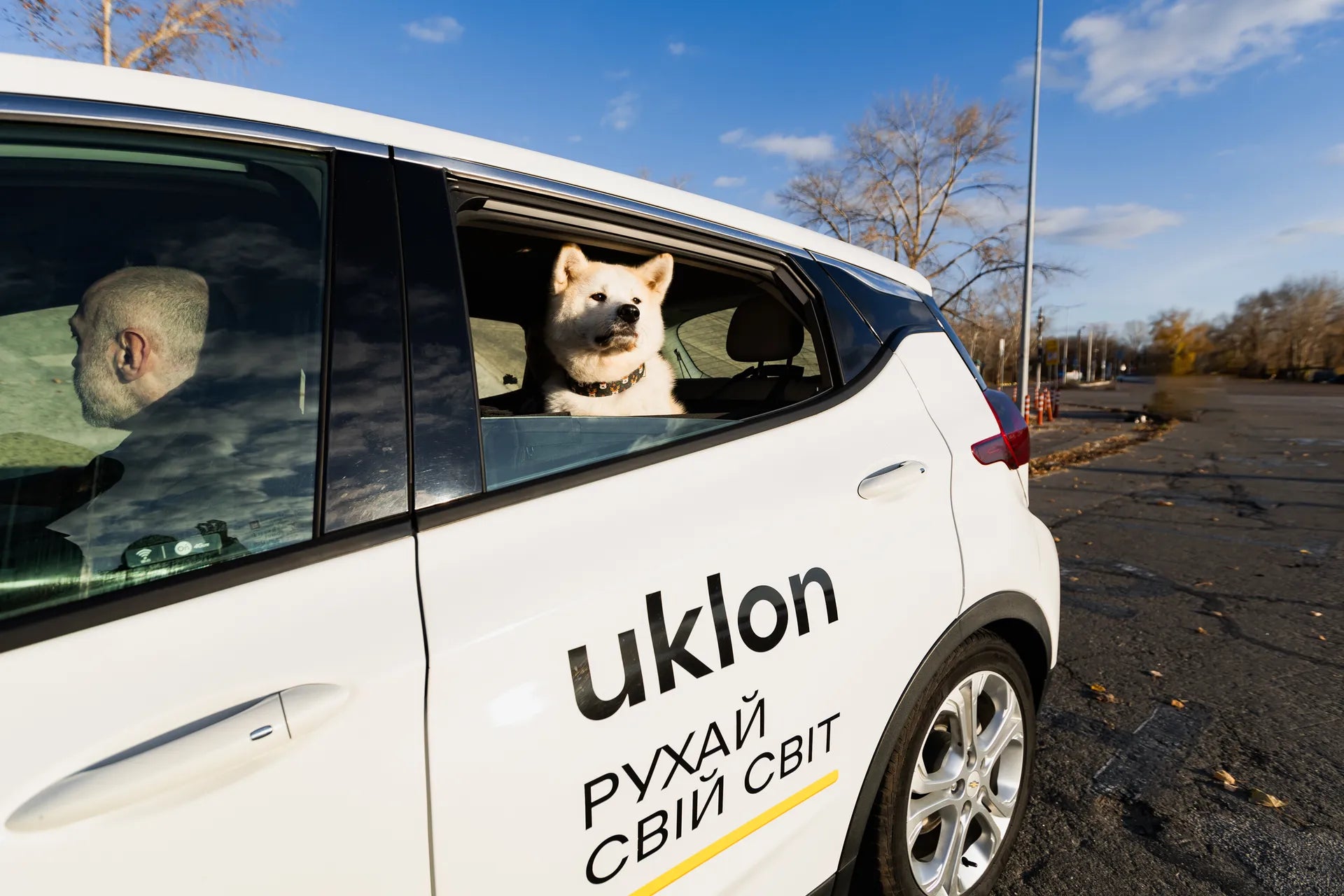 Собака дивиться з вікна авто Uklon у спільному проєкті HeyJune та Uklon